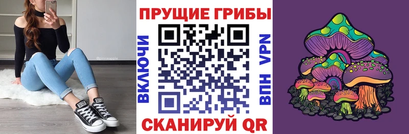 Галлюциногенные грибы GOLDEN TEACHER  Купить закладки  Биробиджан 